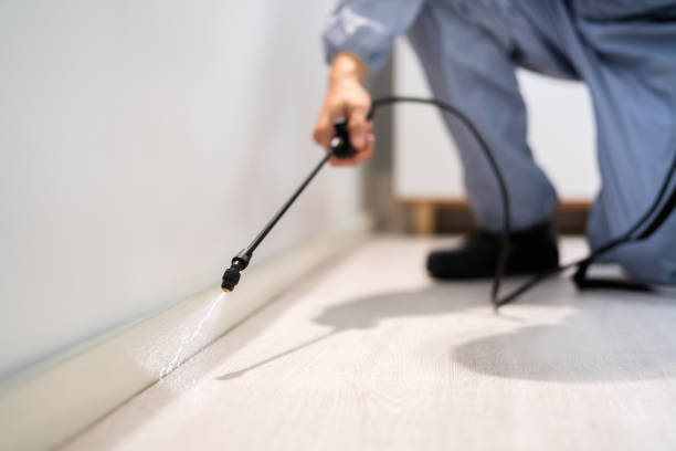 Licensed Termite Control service in Bluffdale, UT - Nex Pest Control
