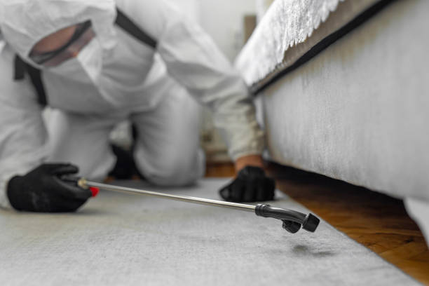 Professional Termite Control technician working in Bluffdale, UT