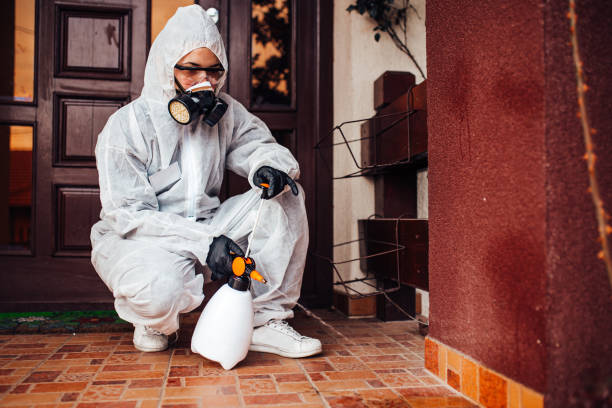 Reliable Termite Control contractor in Bluffdale, UT by Nex Pest Control