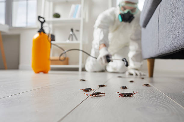 Trusted Fumigation Services service in Bluffdale, UT - Nex Pest Control