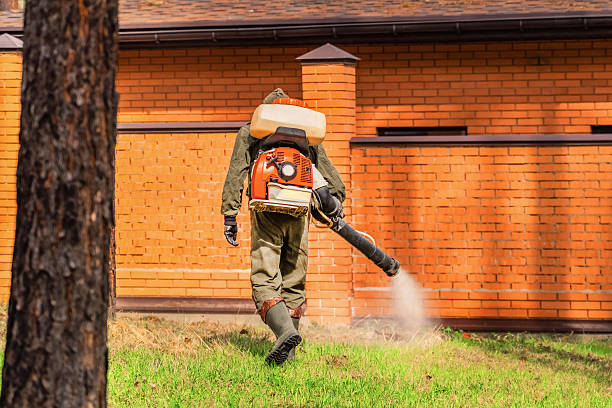 Trusted Bed Bug Control service in Bluffdale, UT - Nex Pest Control